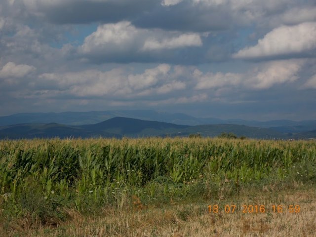 Kočino selo, jul 2016-2